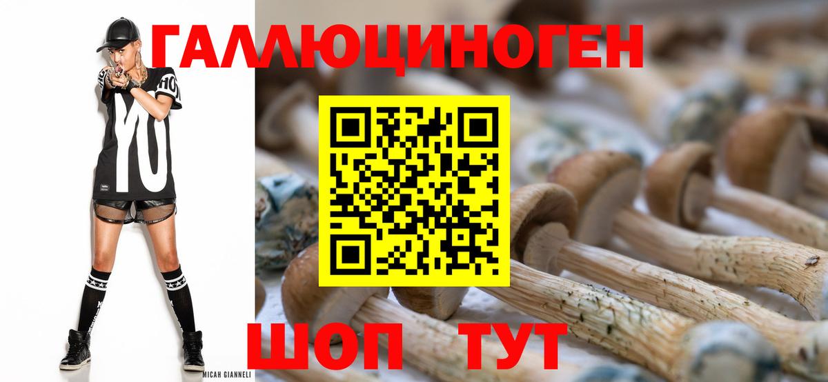 Новодвинск  Псилоцибиновые грибы Psilocybe  Вход с VPN 