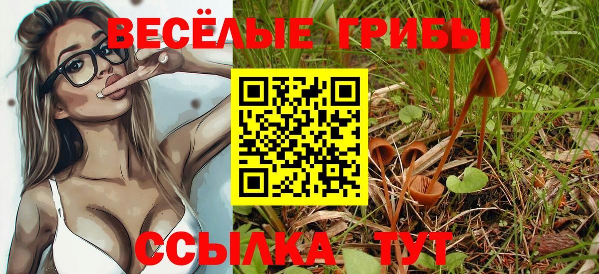 Галлюциногенные грибы Magic Shrooms Новодвинск